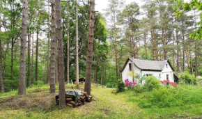 romantisches kleines altes Häuschen im Zauberwesenwald